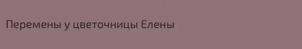 Перемены у цветочницы Елены